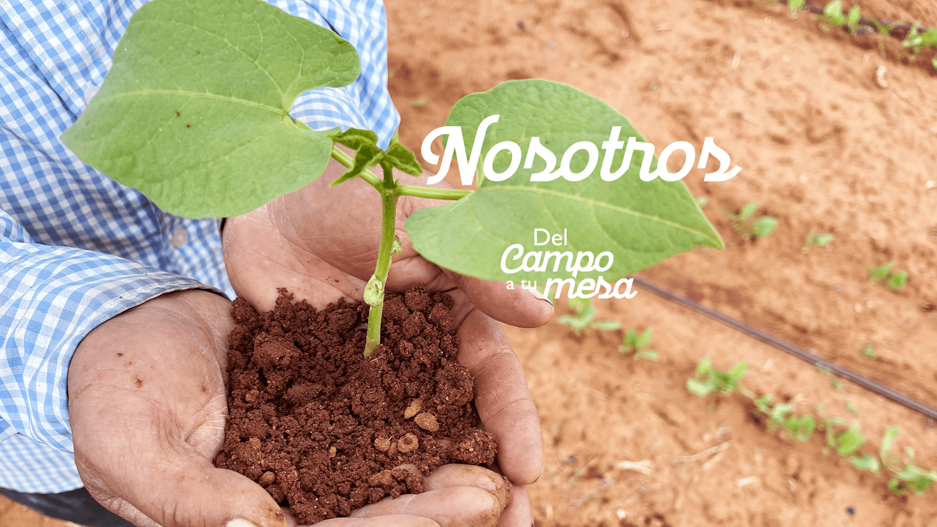 nosotros